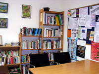 アイルランド留学