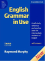 English Grammar In Use